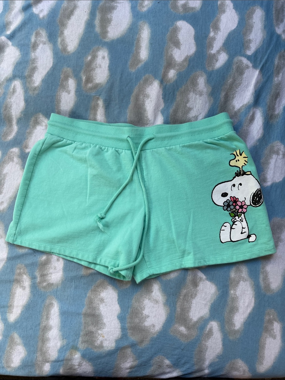 Peanuts Snoopy Woodstock Mint Green Sweat Shorts Juniors Size XL 15-17
